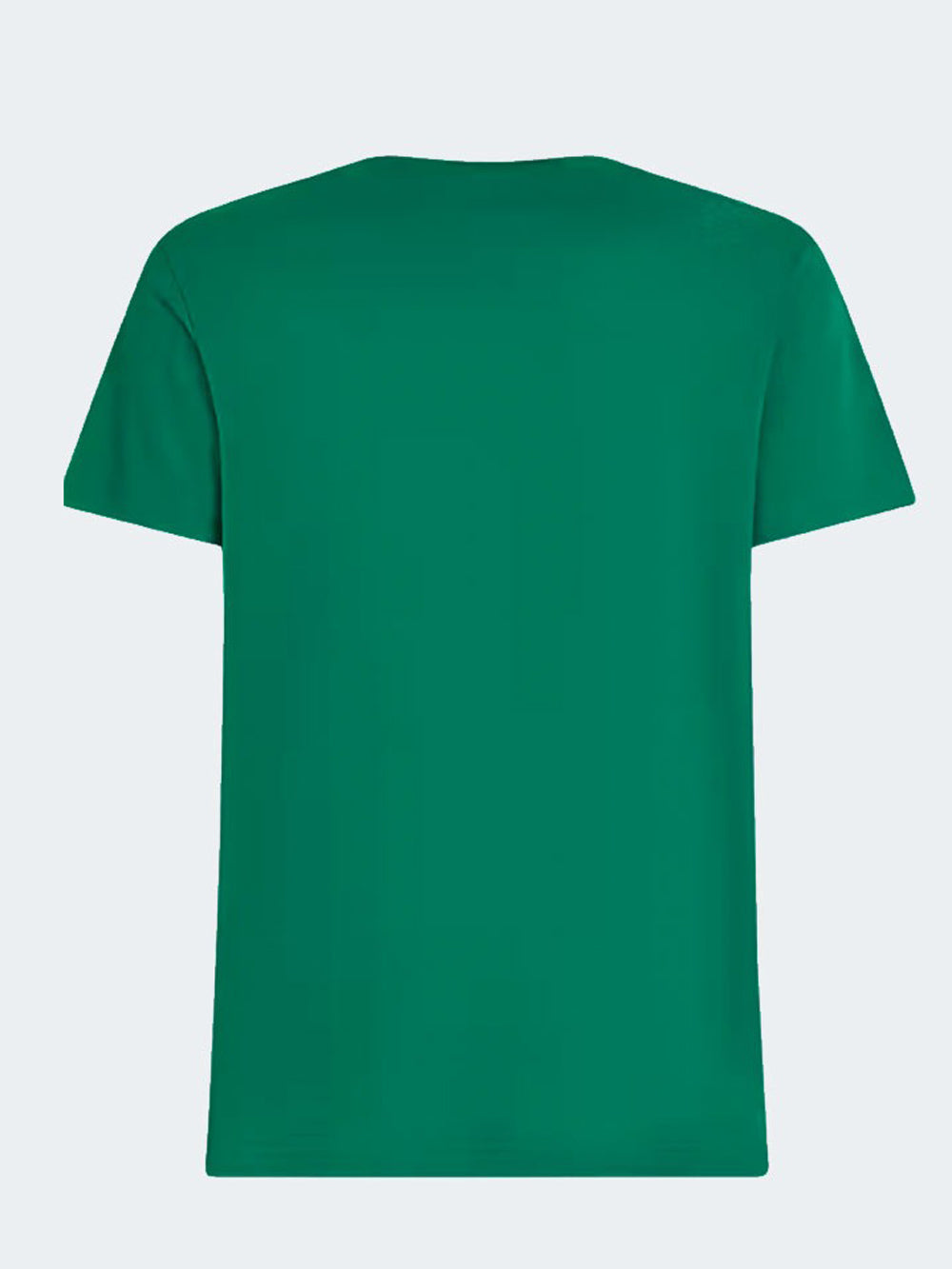 T-shirt Uomo Verde